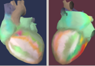 fig1-f fig1-f